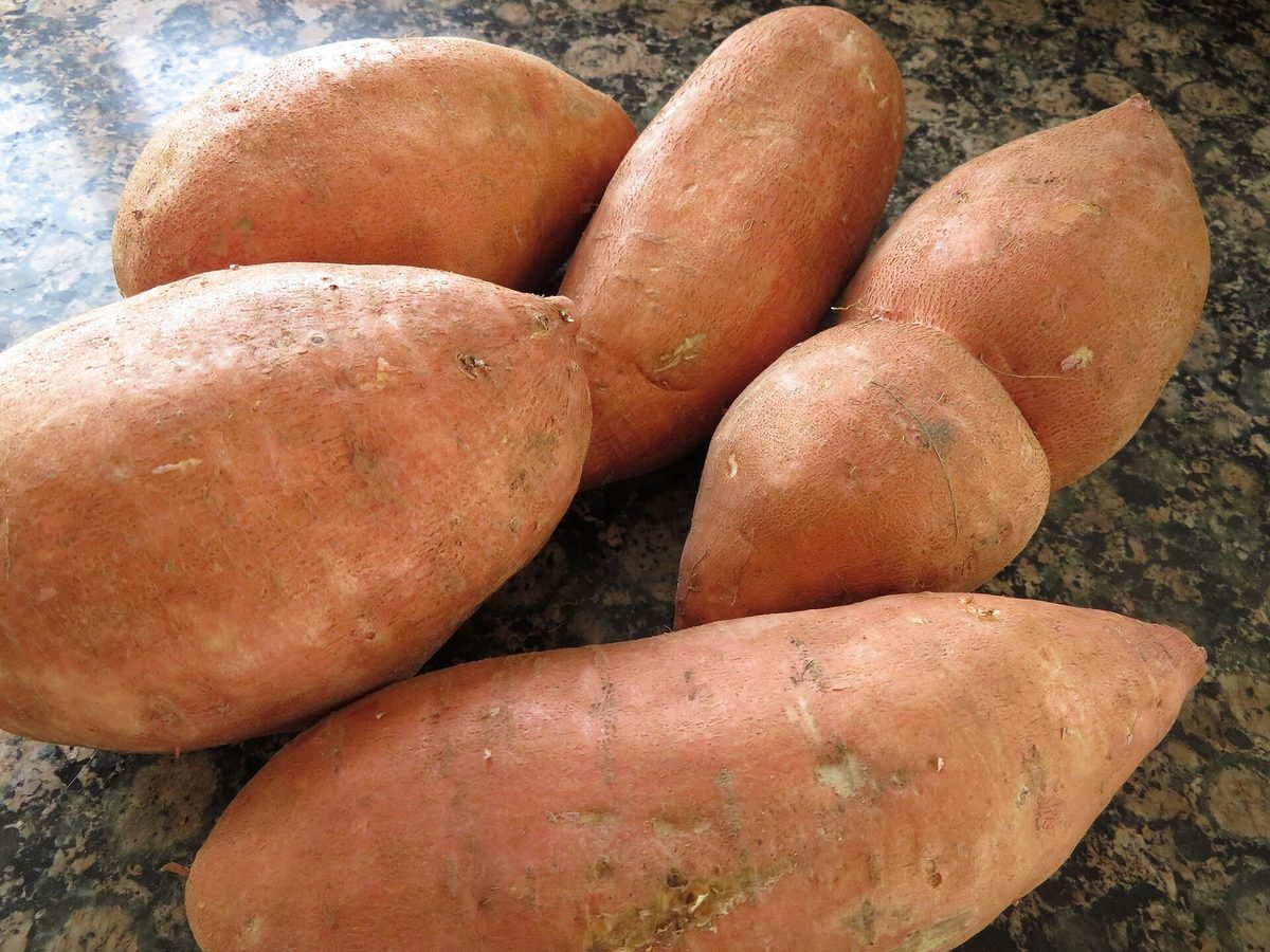 Batata