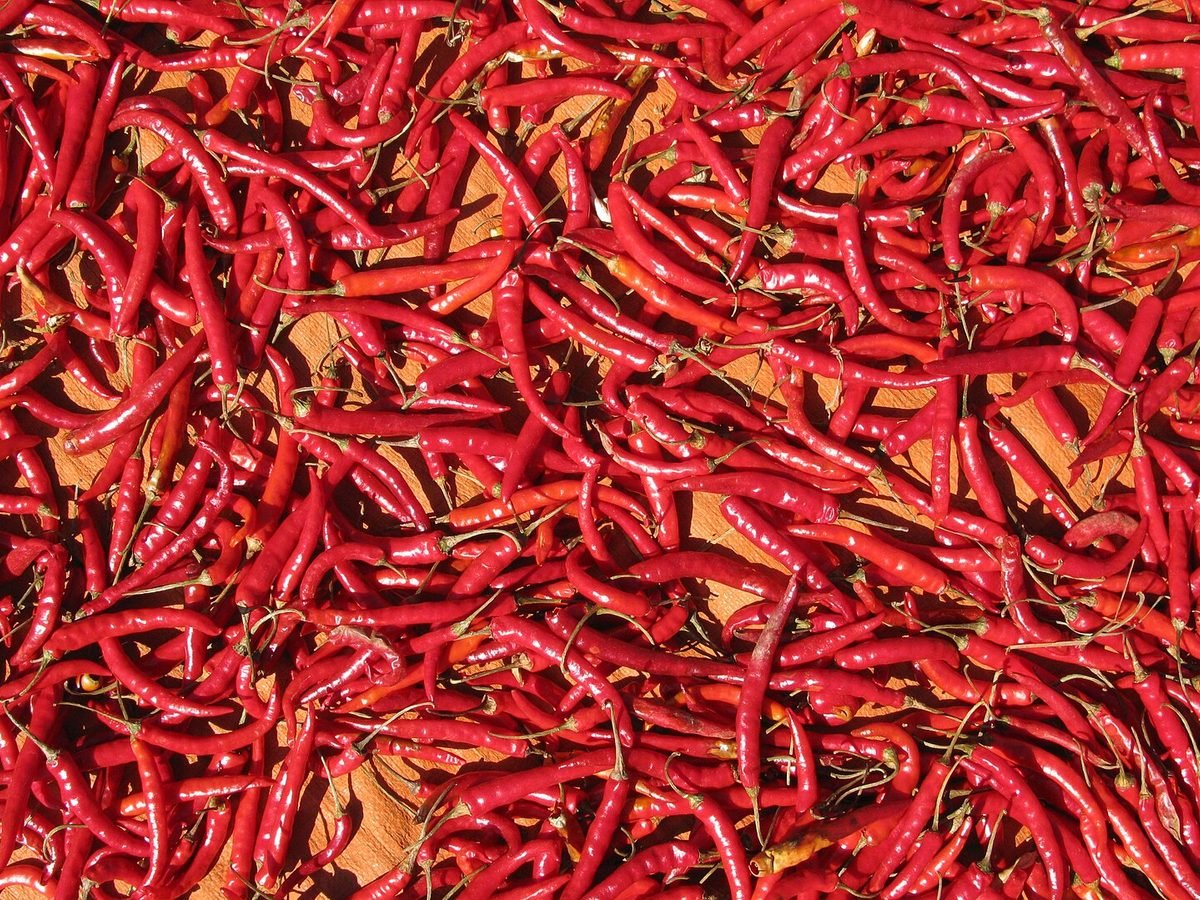 Guindilla