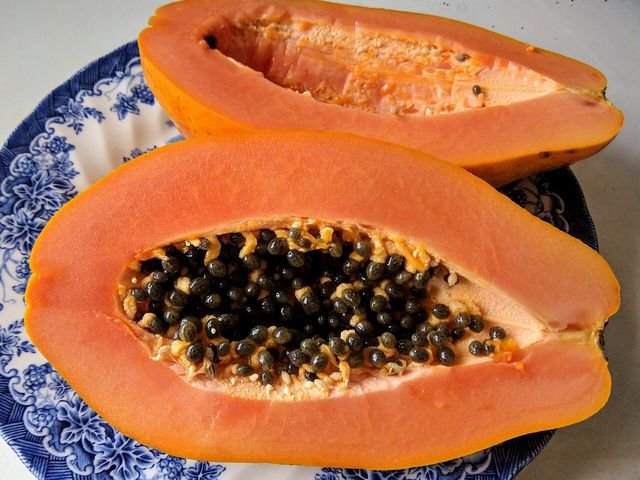 Papaya