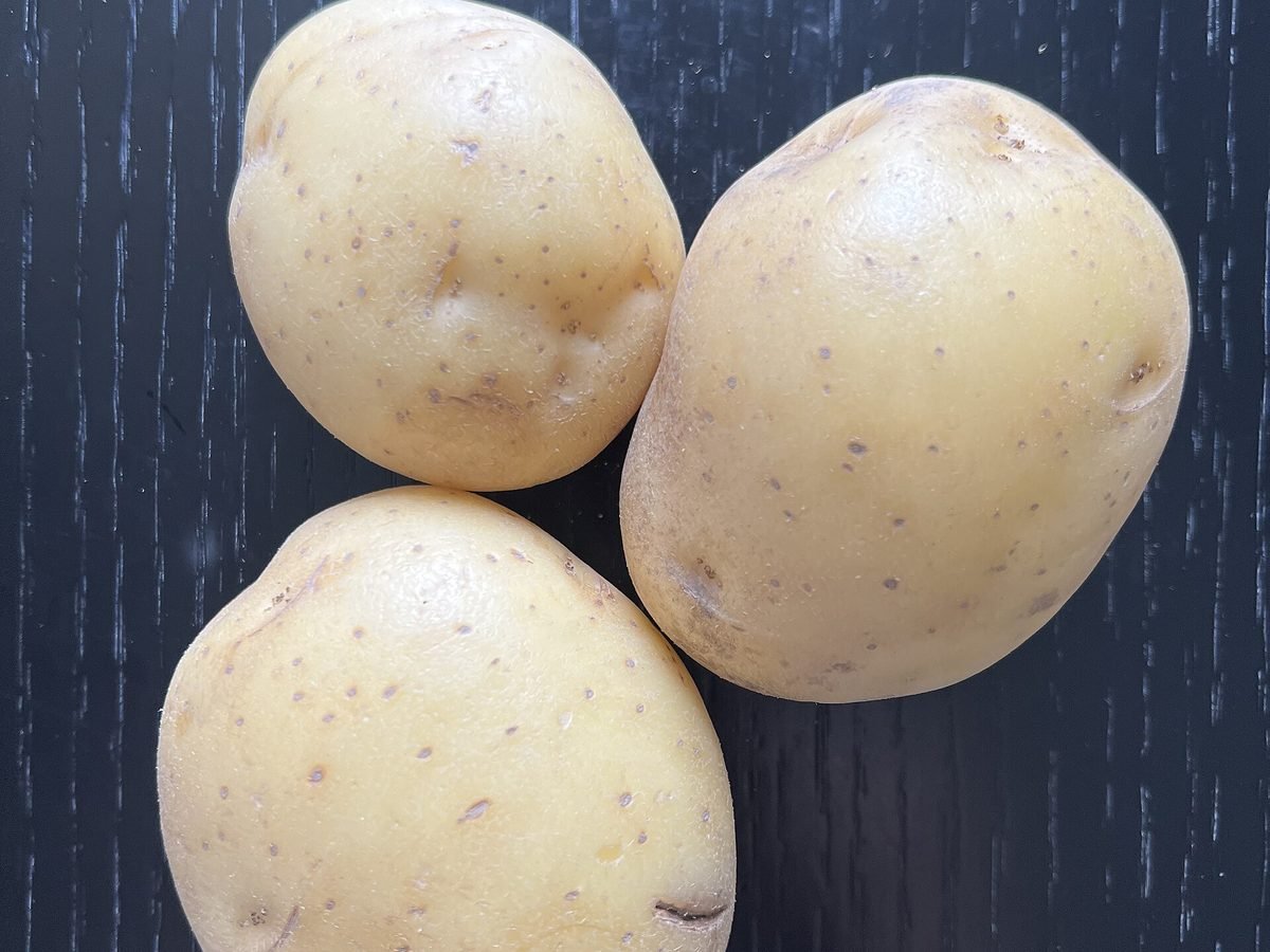 Patata