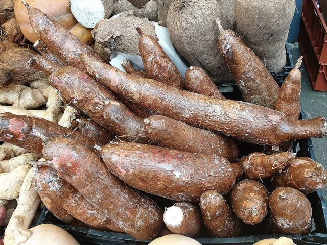 Yuca